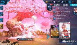 五画皮肤爆料视频,视觉盛宴，神秘角色即将亮相